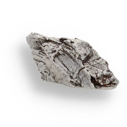 Get your 59g Aletai Meteorite - Authentic Iron Fragment from Xinjiang online now or in store at Forever Gems in Franschhoek, South Africa