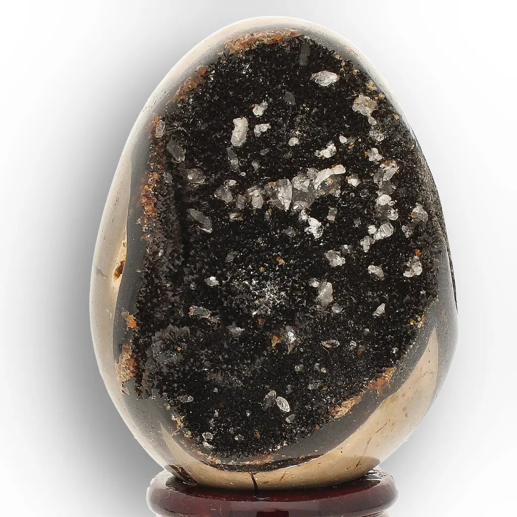 Get your Ancient Septarian Dragon Egg – Natural Crystal from Prehistoric Seas online now or in store at Forever Gems in Franschhoek, South Africa
