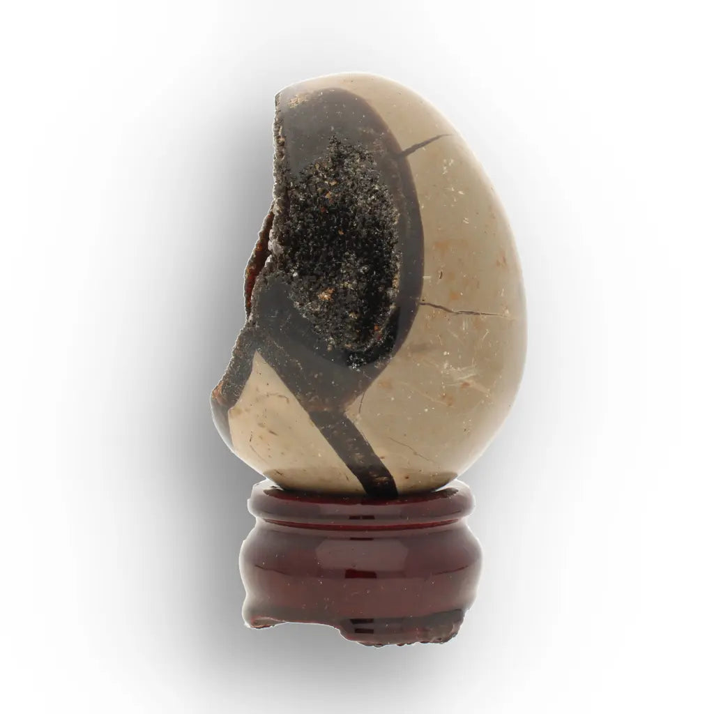 Get your Ancient Septarian Dragon Egg – Natural Crystal from Prehistoric Seas online now or in store at Forever Gems in Franschhoek, South Africa