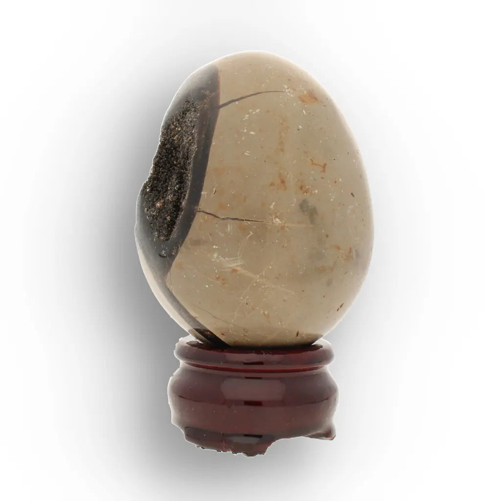 Get your Ancient Septarian Dragon Egg – Natural Crystal from Prehistoric Seas online now or in store at Forever Gems in Franschhoek, South Africa