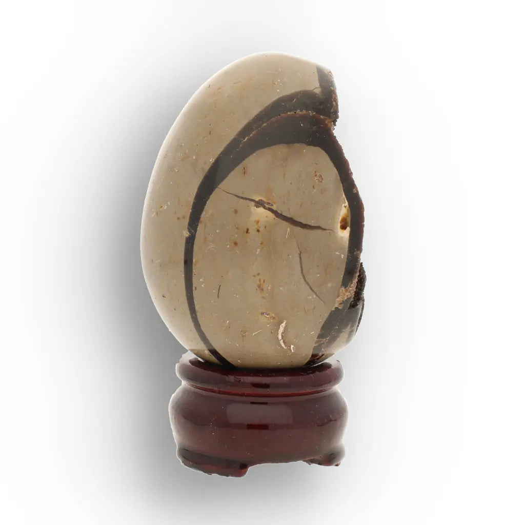 Get your Ancient Septarian Dragon Egg – Natural Crystal from Prehistoric Seas online now or in store at Forever Gems in Franschhoek, South Africa