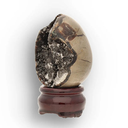 Get your Natural Septarian Dragon Egg Crystal – Earth’s Geological Masterpiece online now or in store at Forever Gems in Franschhoek, South Africa