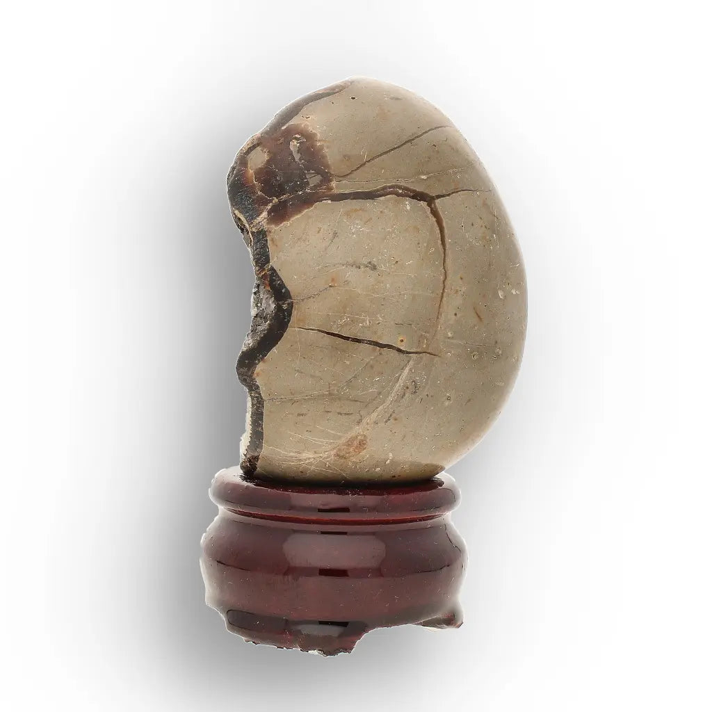 Get your Natural Septarian Dragon Egg Crystal – Earth’s Geological Masterpiece online now or in store at Forever Gems in Franschhoek, South Africa