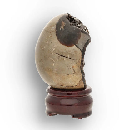 Get your Natural Septarian Dragon Egg Crystal – Earth’s Geological Masterpiece online now or in store at Forever Gems in Franschhoek, South Africa