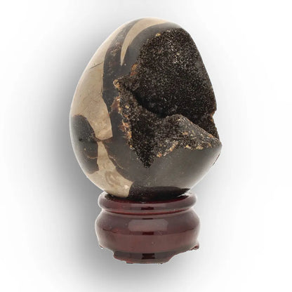 Get your Polished Septarian Dragon Egg – 70 Million Year Old Earth Treasure online now or in store at Forever Gems in Franschhoek, South Africa
