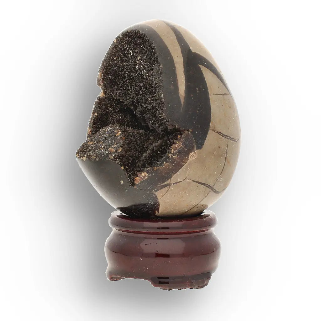 Get your Polished Septarian Dragon Egg – 70 Million Year Old Earth Treasure online now or in store at Forever Gems in Franschhoek, South Africa