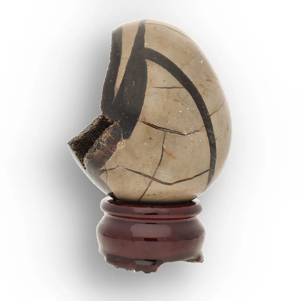 Get your Polished Septarian Dragon Egg – 70 Million Year Old Earth Treasure online now or in store at Forever Gems in Franschhoek, South Africa
