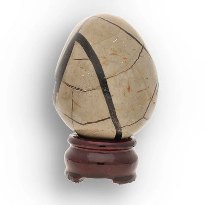 Get your Polished Septarian Dragon Egg – 70 Million Year Old Earth Treasure online now or in store at Forever Gems in Franschhoek, South Africa