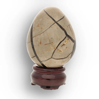 Get your Polished Septarian Dragon Egg – 70 Million Year Old Earth Treasure online now or in store at Forever Gems in Franschhoek, South Africa