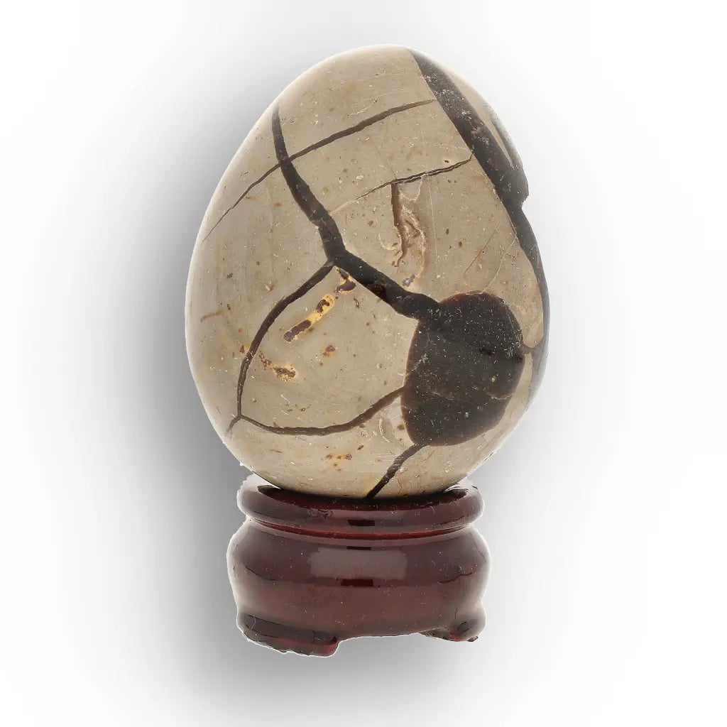 Get your Polished Septarian Dragon Egg – 70 Million Year Old Earth Treasure online now or in store at Forever Gems in Franschhoek, South Africa