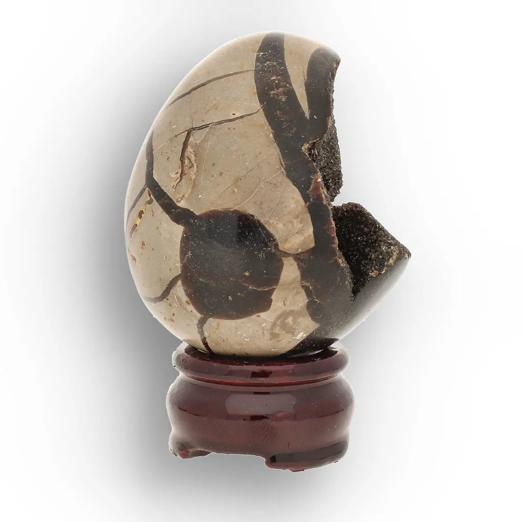 Get your Polished Septarian Dragon Egg – 70 Million Year Old Earth Treasure online now or in store at Forever Gems in Franschhoek, South Africa