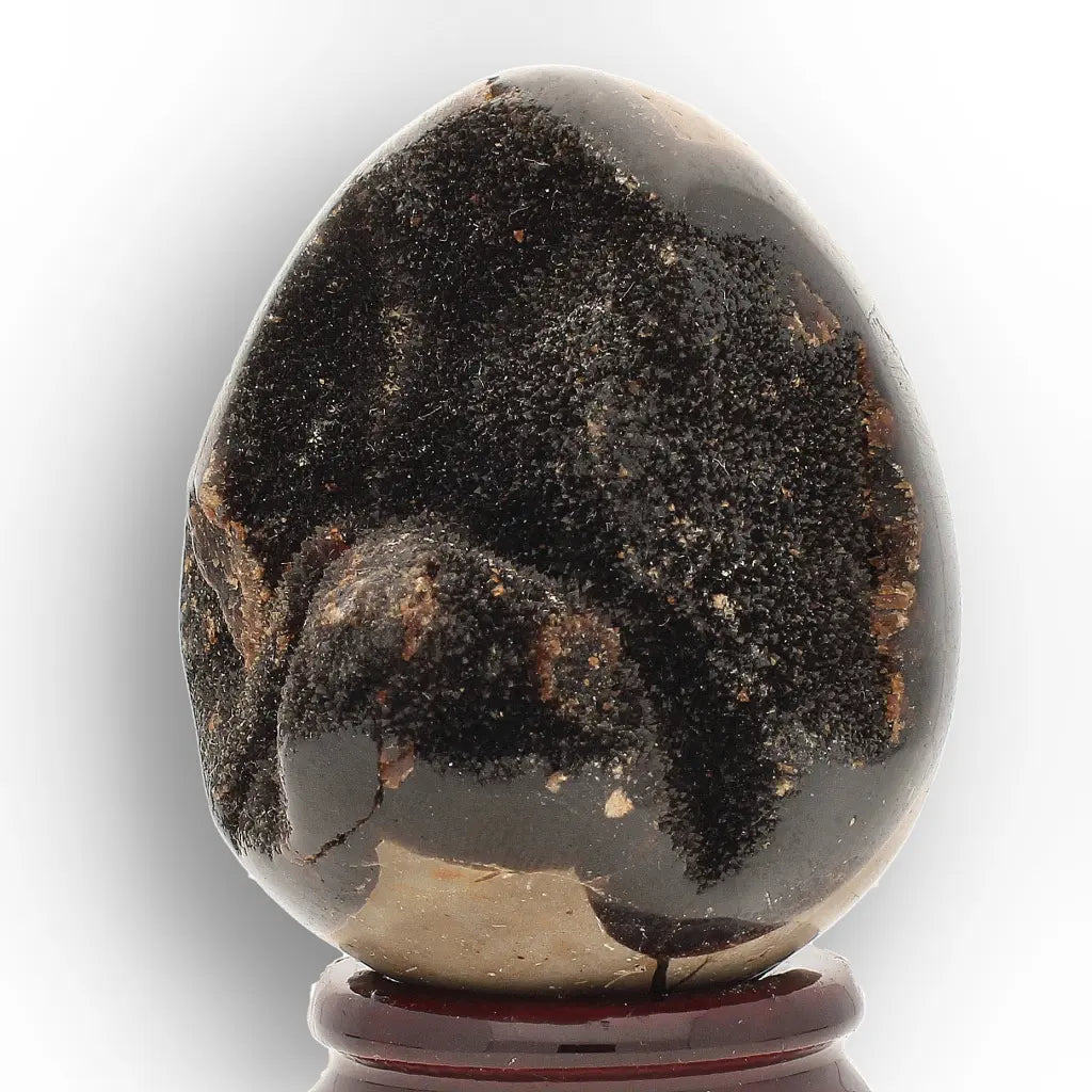 Get your Genuine Septarian Dragon Egg – Ancient Ocean Formed Crystal online now or in store at Forever Gems in Franschhoek, South Africa