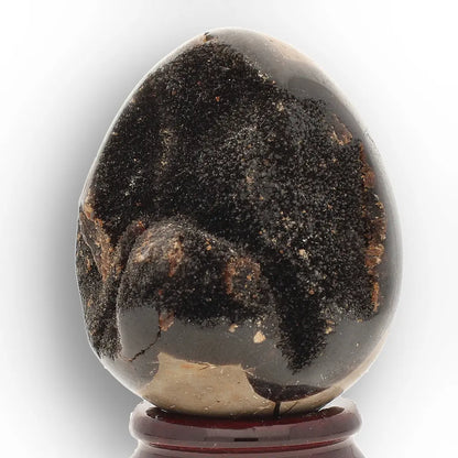Get your Genuine Septarian Dragon Egg – Ancient Ocean Formed Crystal online now or in store at Forever Gems in Franschhoek, South Africa