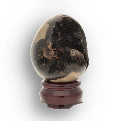 Get your Genuine Septarian Dragon Egg – Ancient Ocean Formed Crystal online now or in store at Forever Gems in Franschhoek, South Africa