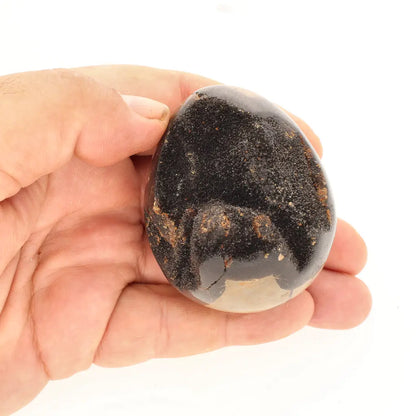 Get your Genuine Septarian Dragon Egg – Ancient Ocean Formed Crystal online now or in store at Forever Gems in Franschhoek, South Africa