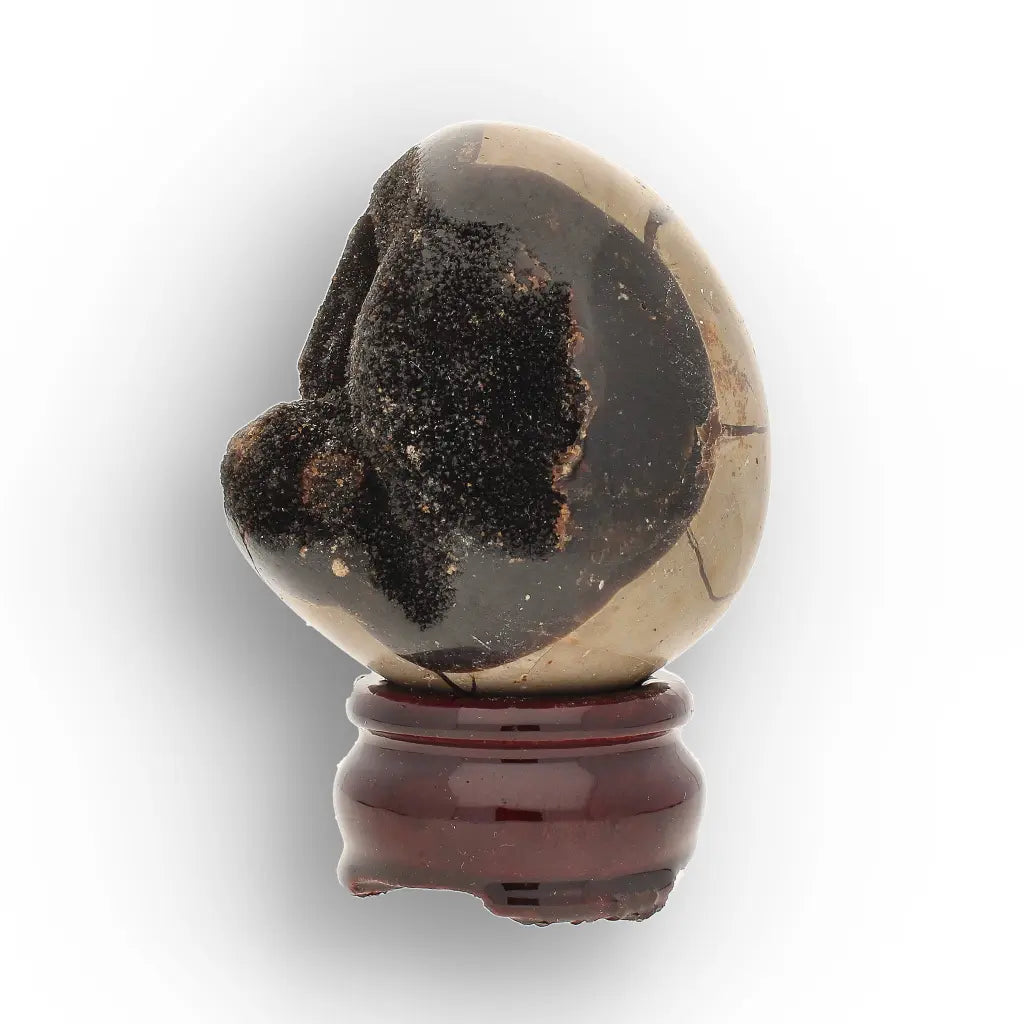 Get your Genuine Septarian Dragon Egg – Ancient Ocean Formed Crystal online now or in store at Forever Gems in Franschhoek, South Africa