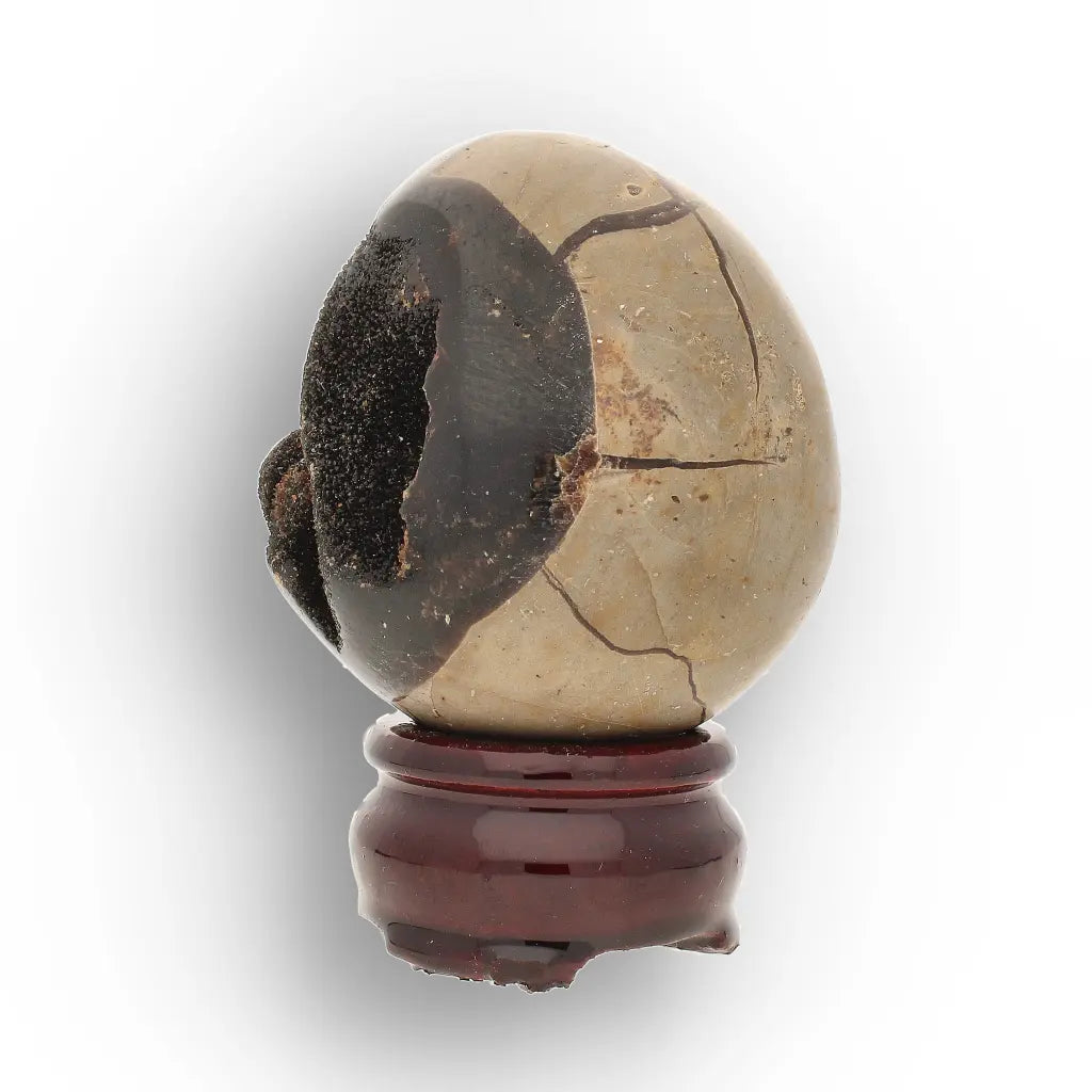 Get your Genuine Septarian Dragon Egg – Ancient Ocean Formed Crystal online now or in store at Forever Gems in Franschhoek, South Africa