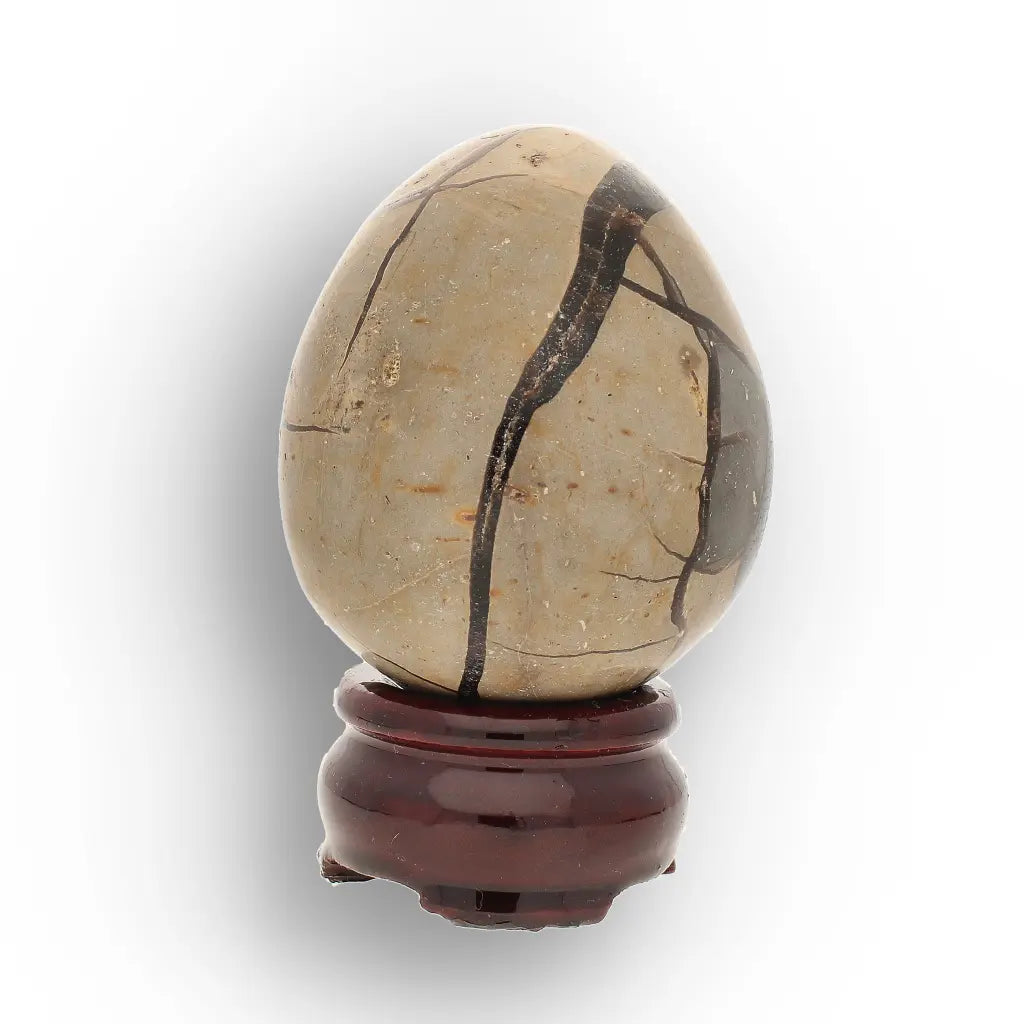 Get your Genuine Septarian Dragon Egg – Ancient Ocean Formed Crystal online now or in store at Forever Gems in Franschhoek, South Africa