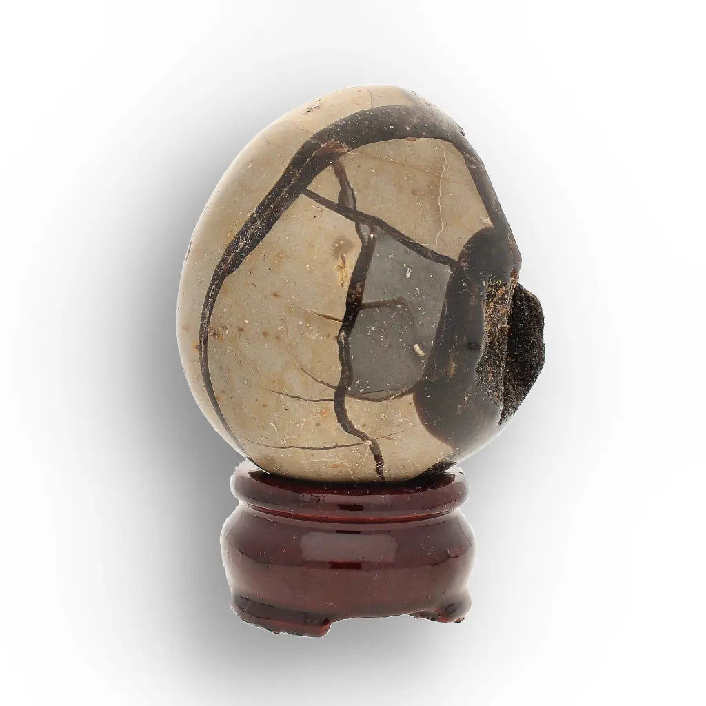 Get your Genuine Septarian Dragon Egg – Ancient Ocean Formed Crystal online now or in store at Forever Gems in Franschhoek, South Africa