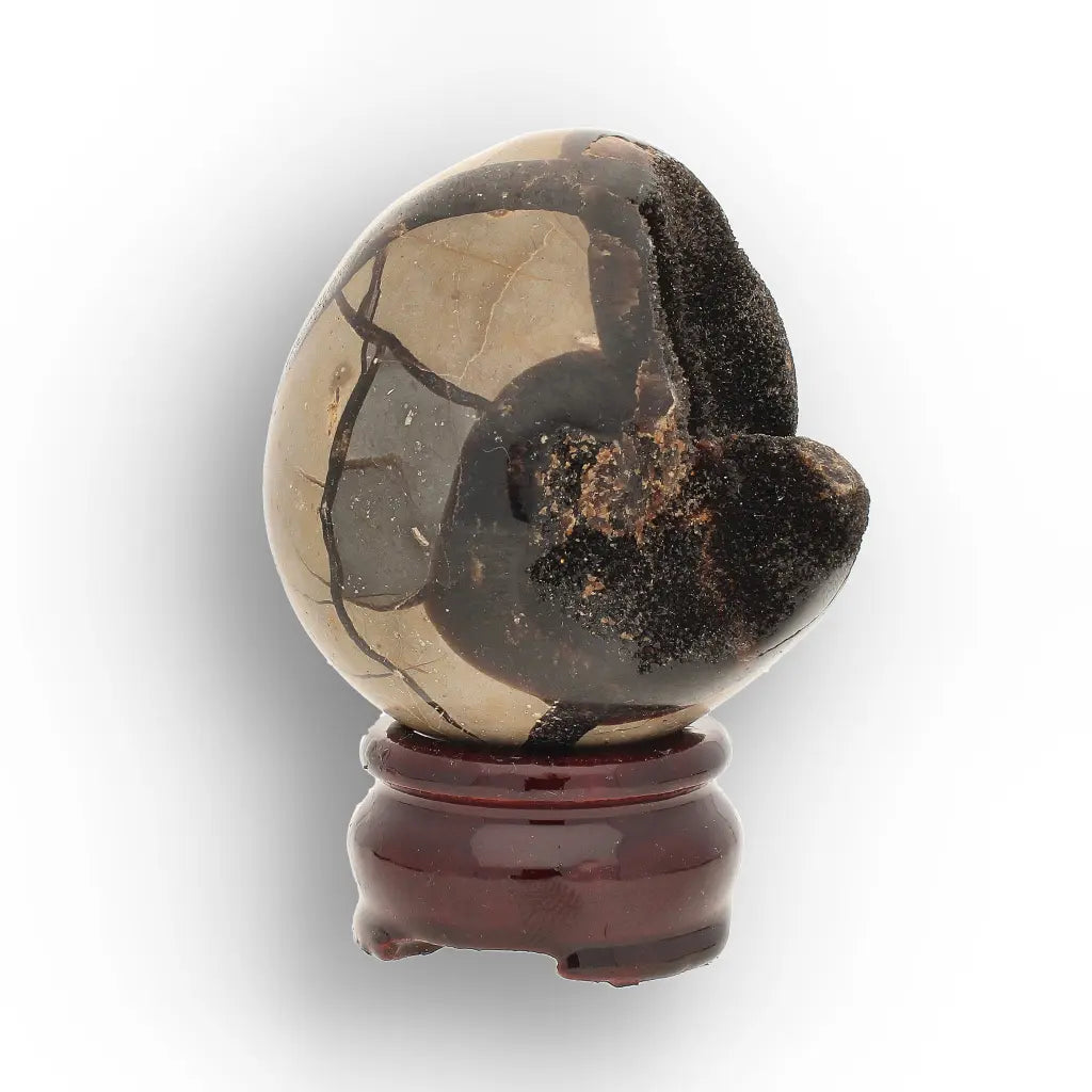 Get your Genuine Septarian Dragon Egg – Ancient Ocean Formed Crystal online now or in store at Forever Gems in Franschhoek, South Africa
