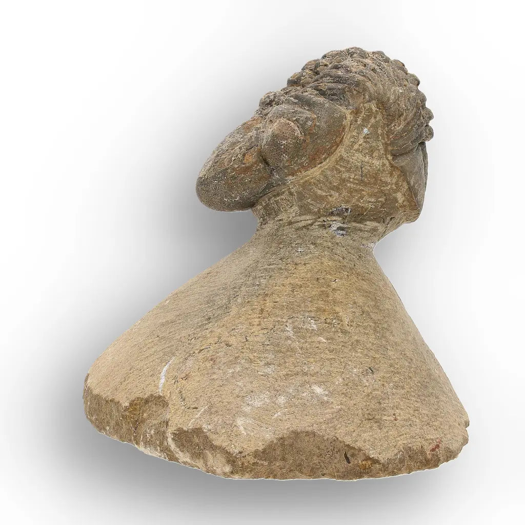 Get your Authentic Morocops Trilobite Fossil from Devonian Morocco online now or in store at Forever Gems in Franschhoek, South Africa