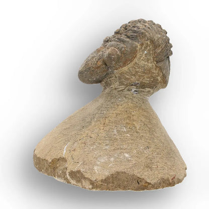 Get your Authentic Morocops Trilobite Fossil from Devonian Morocco online now or in store at Forever Gems in Franschhoek, South Africa