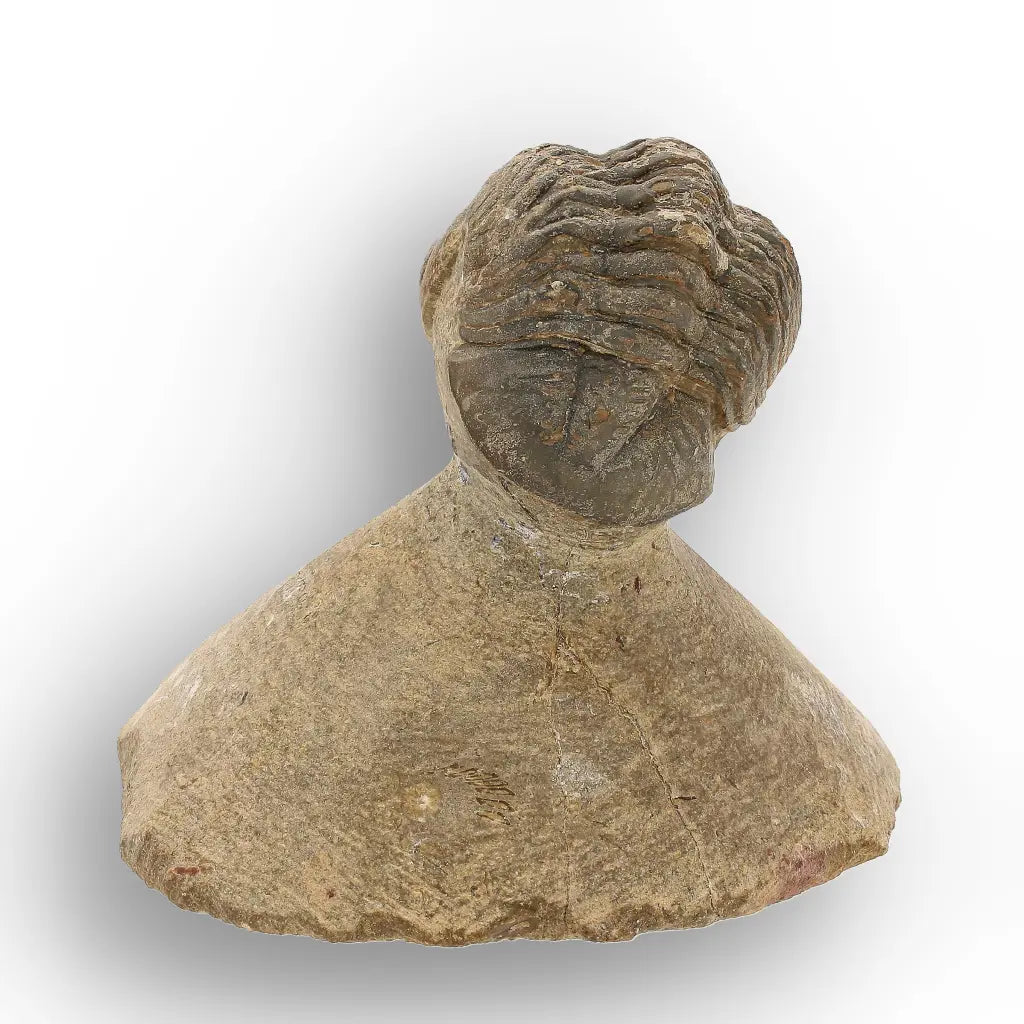 Get your Authentic Morocops Trilobite Fossil from Devonian Morocco online now or in store at Forever Gems in Franschhoek, South Africa