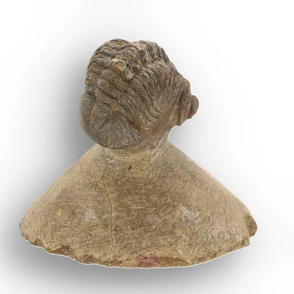 Get your Authentic Morocops Trilobite Fossil from Devonian Morocco online now or in store at Forever Gems in Franschhoek, South Africa