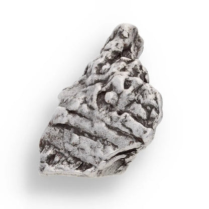 Get your 53g Authentic Campo del Cielo Space Relic – Celestial Relic, Earthly Wonder online now or in store at Forever Gems in Franschhoek, South Africa
