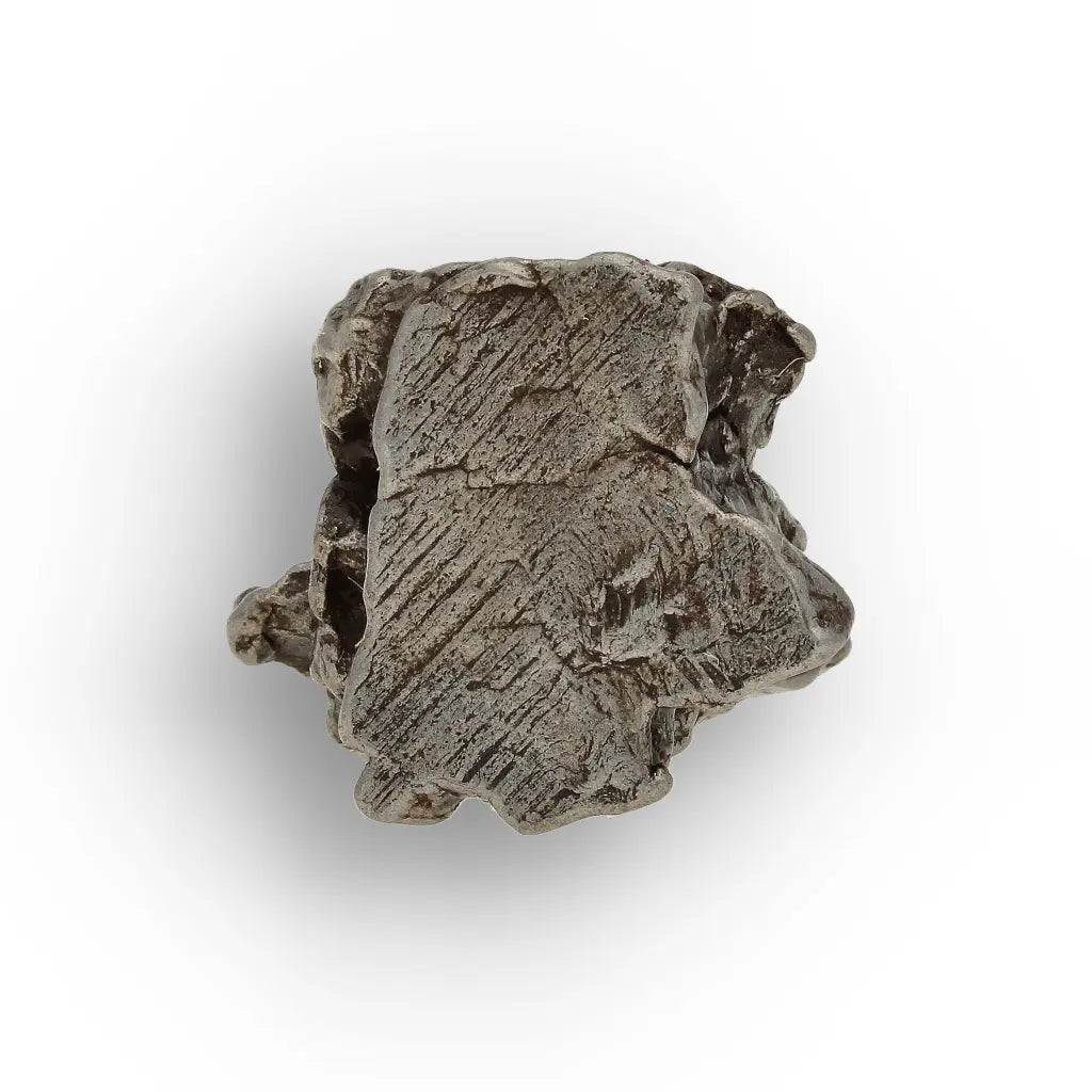 Authentic Campo del Cielo Meteorite Fragment from Argentina