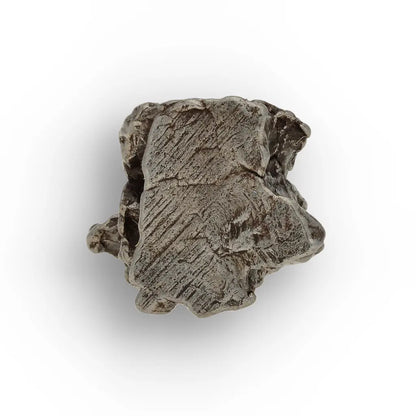 Authentic Campo del Cielo Meteorite Fragment from Argentina