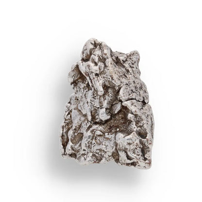 Get your 27g Authentic Campo del Cielo Space Relic – A Chunk of Cosmic History online now or in store at Forever Gems in Franschhoek, South Africa