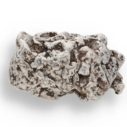 Get your 30g Campo del Cielo Meteorite - Authentic Iron Space Rock from Argentina online now or in store at Forever Gems in Franschhoek, South Africa