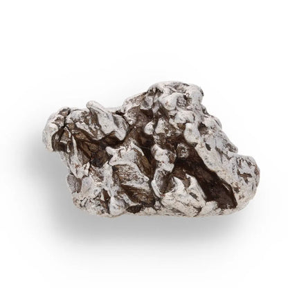 Get your 30g Campo del Cielo Meteorite - Authentic Iron Space Rock from Argentina online now or in store at Forever Gems in Franschhoek, South Africa
