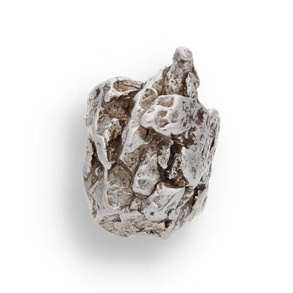 Get your 19g Campo del Cielo Meteorite - 4,000 Year Old Cosmic Relic from Space online now or in store at Forever Gems in Franschhoek, South Africa