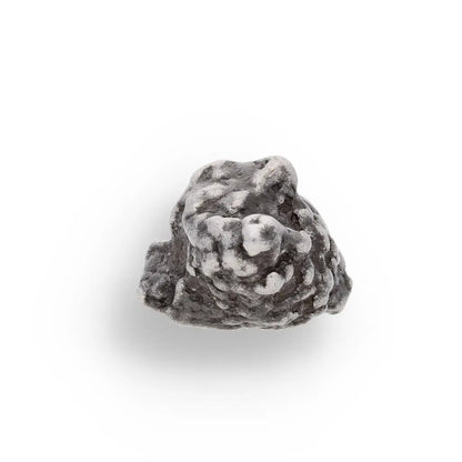 Get your 15g Campo del Cielo Meteorite - Genuine Ancient Iron Nickel Space Fragment online now or in store at Forever Gems in Franschhoek, South Africa
