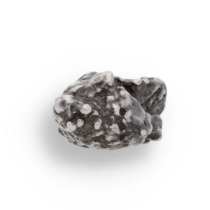 Get your 15g Campo del Cielo Meteorite - Genuine Ancient Iron Nickel Space Fragment online now or in store at Forever Gems in Franschhoek, South Africa