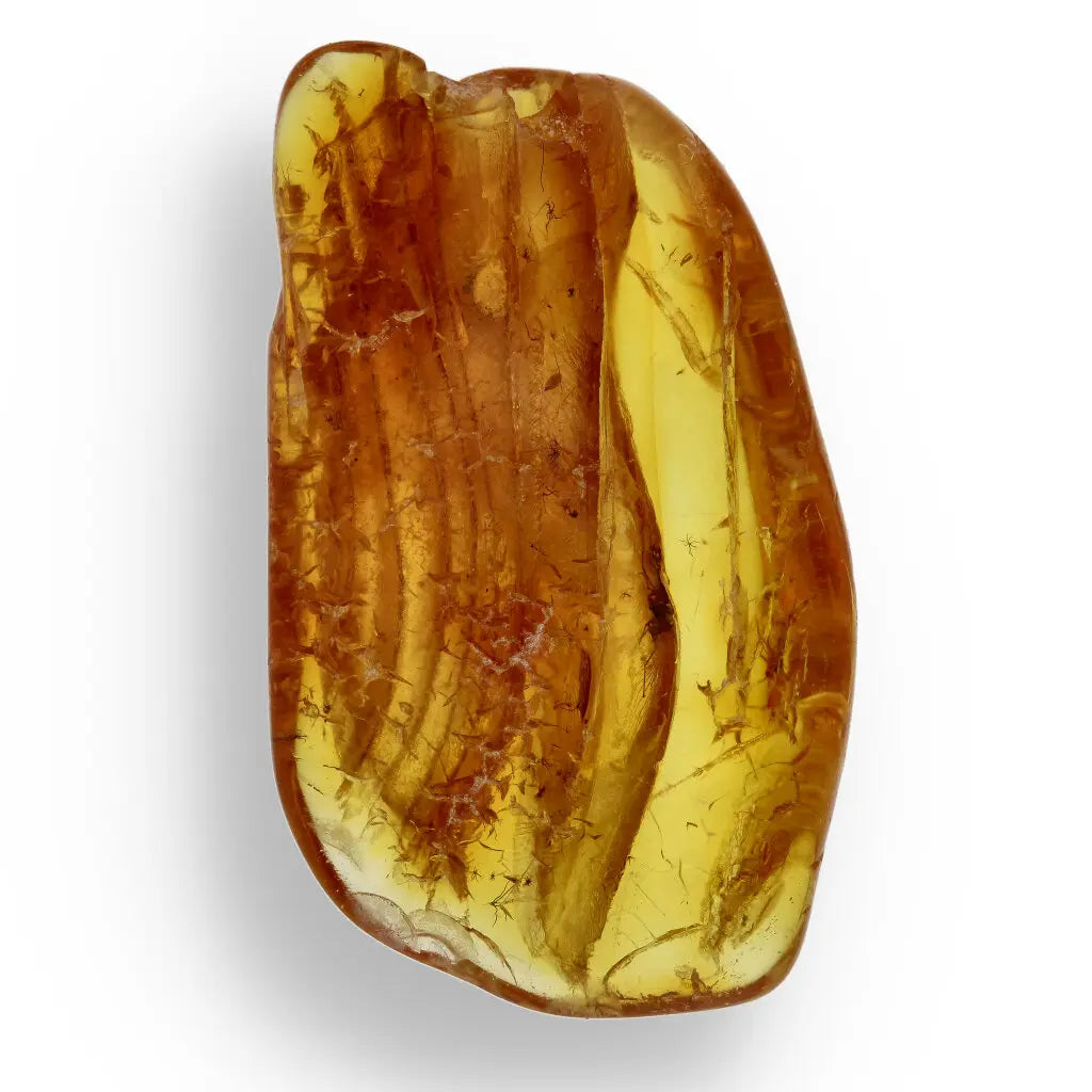 Get your Genuine Baltic Amber: Ancient Insect Time Capsule online now or in store at Forever Gems in Franschhoek, South Africa