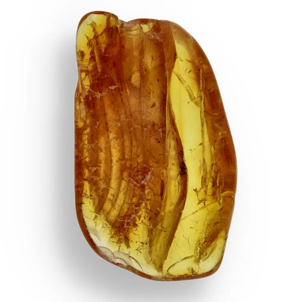 Get your Genuine Baltic Amber: Ancient Insect Time Capsule online now or in store at Forever Gems in Franschhoek, South Africa