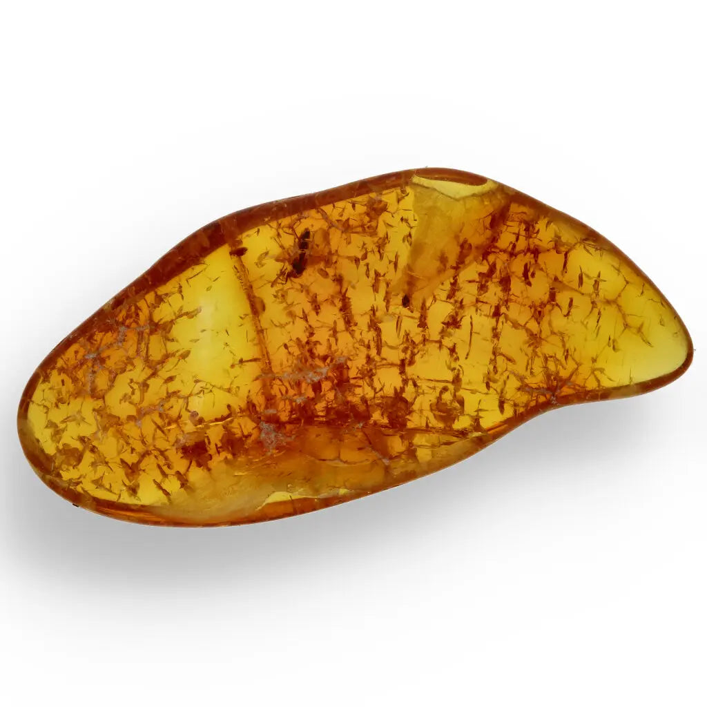 Get your Real Baltic Amber Fossil with Insect Inside online now or in store at Forever Gems in Franschhoek, South Africa