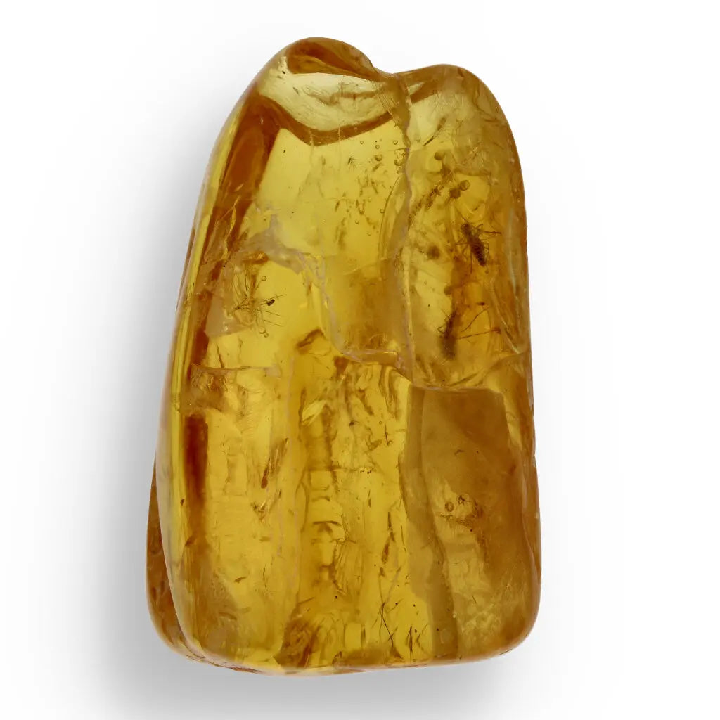 Get your Real Baltic Amber - Fossil Insect from 40 Million Years online now or in store at Forever Gems in Franschhoek, South Africa