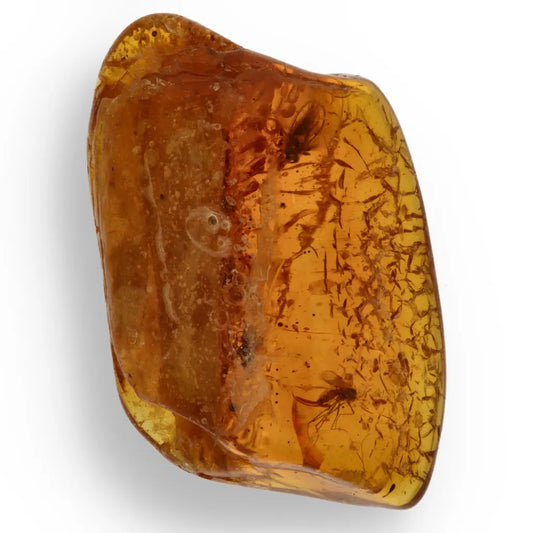 Get your Genuine Baltic Amber - Real Ancient Insect Inclusion online now or in store at Forever Gems in Franschhoek, South Africa
