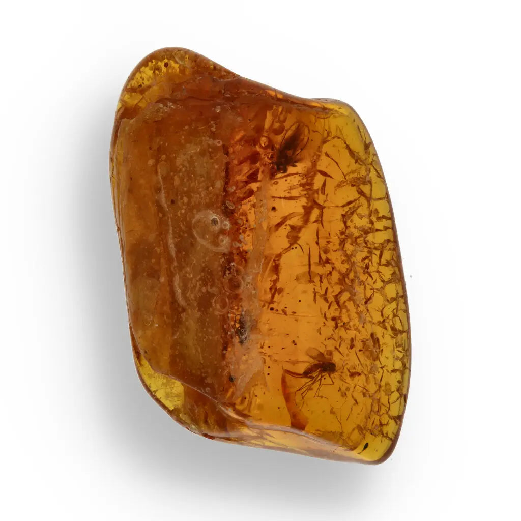 Get your Genuine Baltic Amber - Real Ancient Insect Inclusion online now or in store at Forever Gems in Franschhoek, South Africa