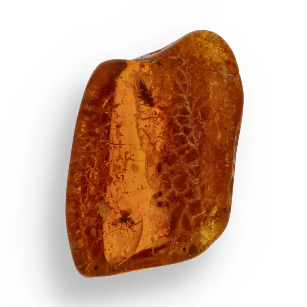 Get your Genuine Baltic Amber - Real Ancient Insect Inclusion online now or in store at Forever Gems in Franschhoek, South Africa