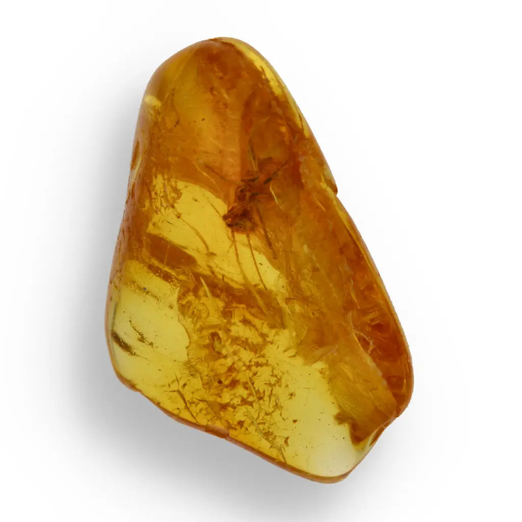 Get your Authentic Baltic Amber with Prehistoric Insect Fossil online now or in store at Forever Gems in Franschhoek, South Africa