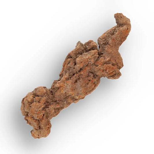 Get your Authentic Madagascan Coprolite Fossil with Knobbly Texture online now or in store at Forever Gems in Franschhoek, South Africa