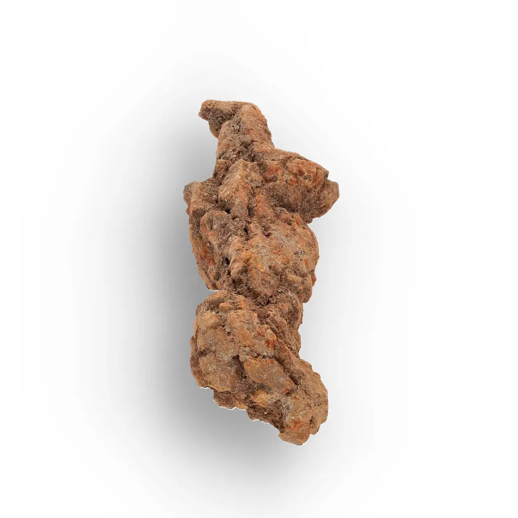 Get your Authentic Madagascan Coprolite Fossil with Knobbly Texture online now or in store at Forever Gems in Franschhoek, South Africa