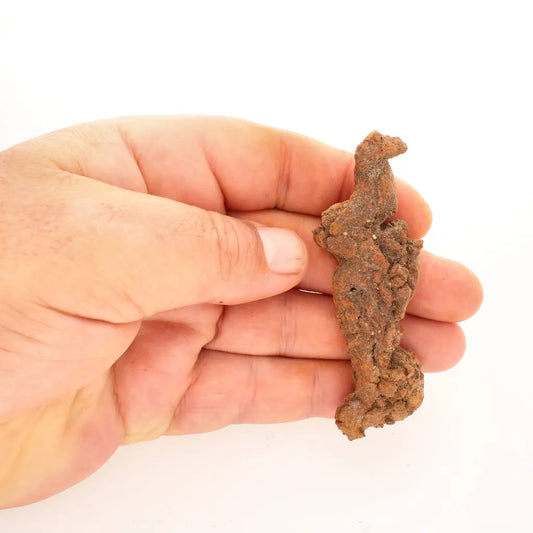 Get your Authentic Madagascan Coprolite Fossil with Knobbly Texture online now or in store at Forever Gems in Franschhoek, South Africa