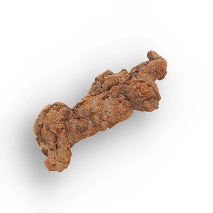Get your Authentic Madagascan Coprolite Fossil with Knobbly Texture online now or in store at Forever Gems in Franschhoek, South Africa