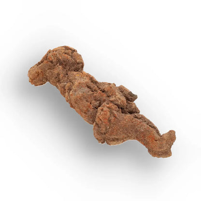 Get your Authentic Madagascan Coprolite Fossil with Knobbly Texture online now or in store at Forever Gems in Franschhoek, South Africa